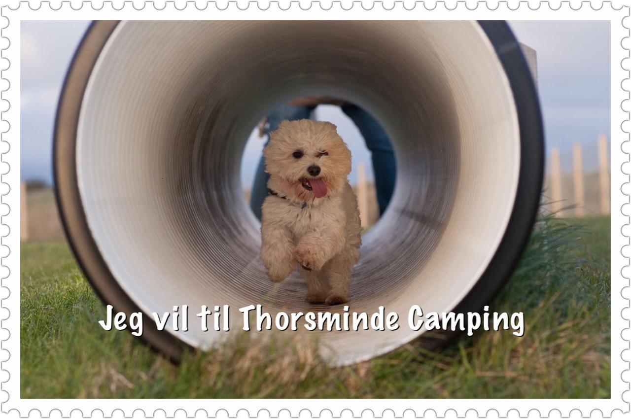 Thorsminde Camping & Cottages 外观 照片